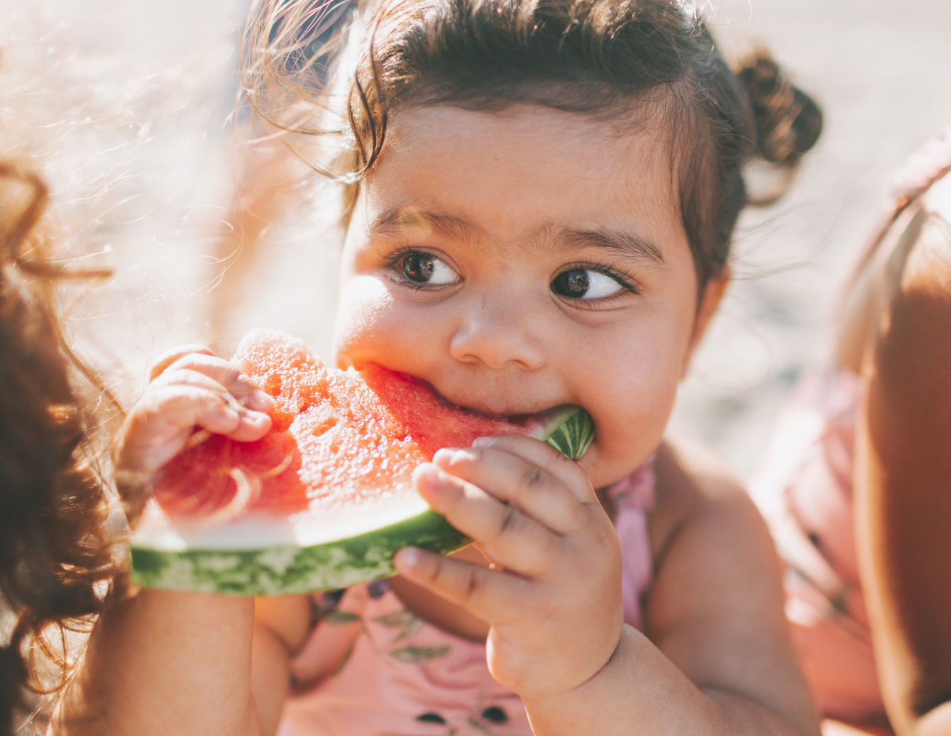 Toddler girl eats watermelon with both hands
